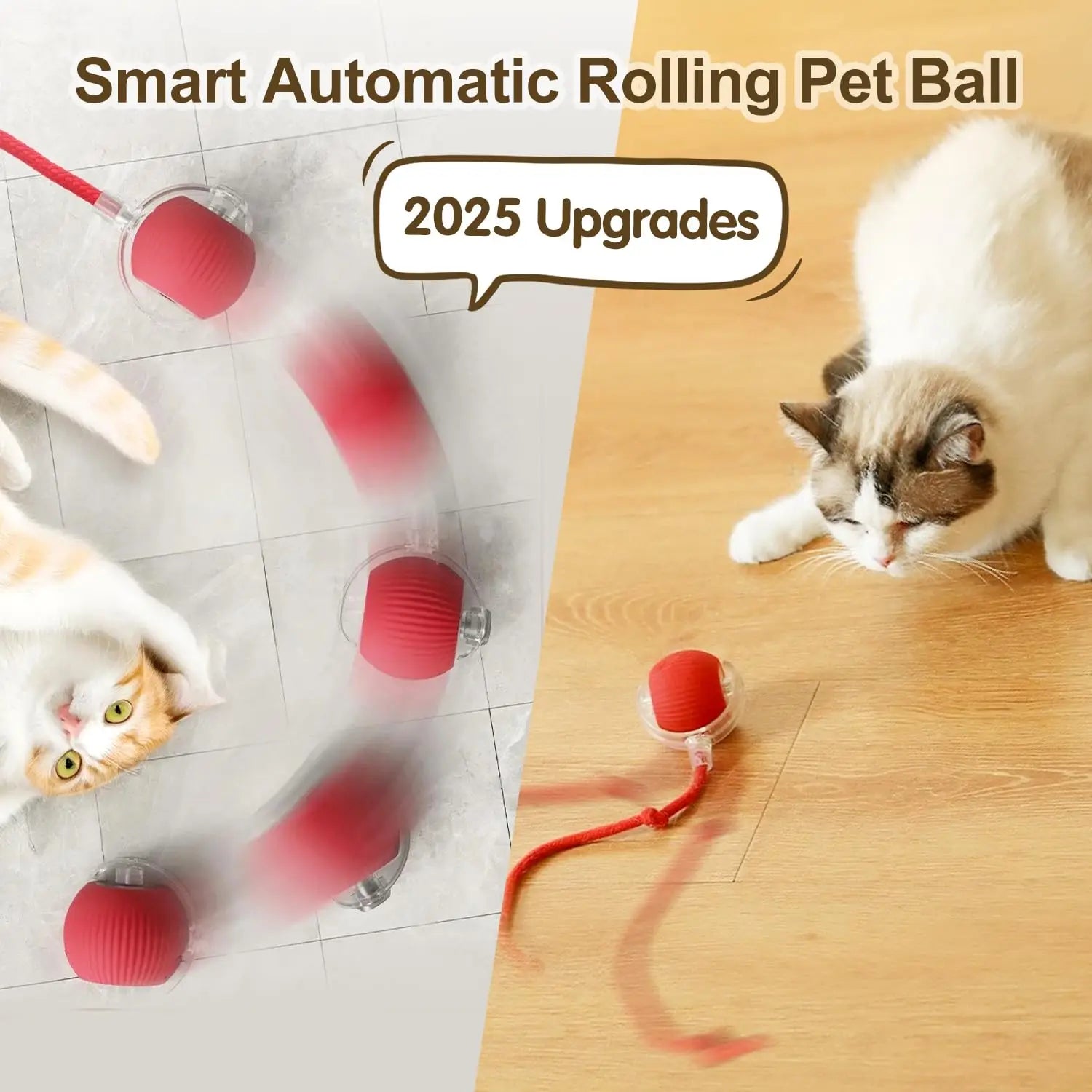Unleash Endless Adventures for Your Feline Friend!